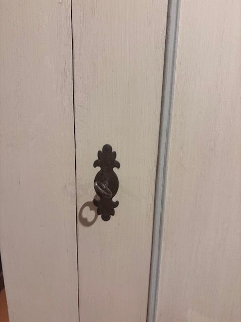 Armadio Laccato Avorio ad 1 Anta - Restaurato_car 3281 - Foto 5