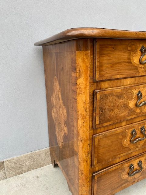 Cassettone Mosso Piemontese in Noce - Restaurato (in corso d'opera)_car 3375 - Foto 4