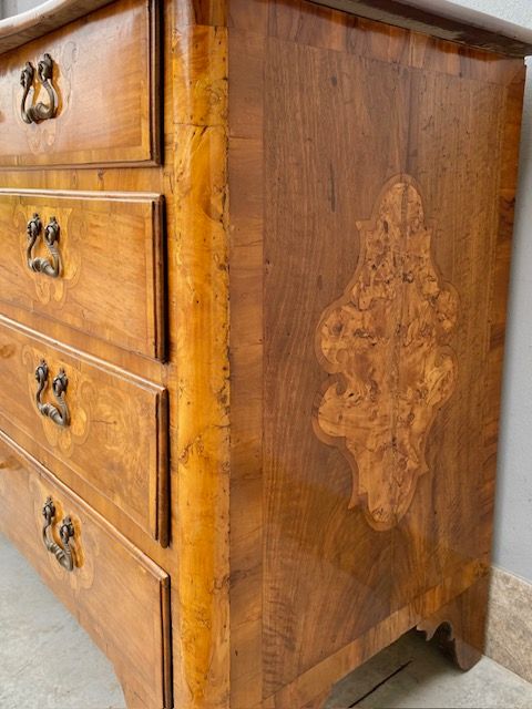 Cassettone Mosso Piemontese in Noce - Restaurato (in corso d'opera)_car 3375 - Foto 10